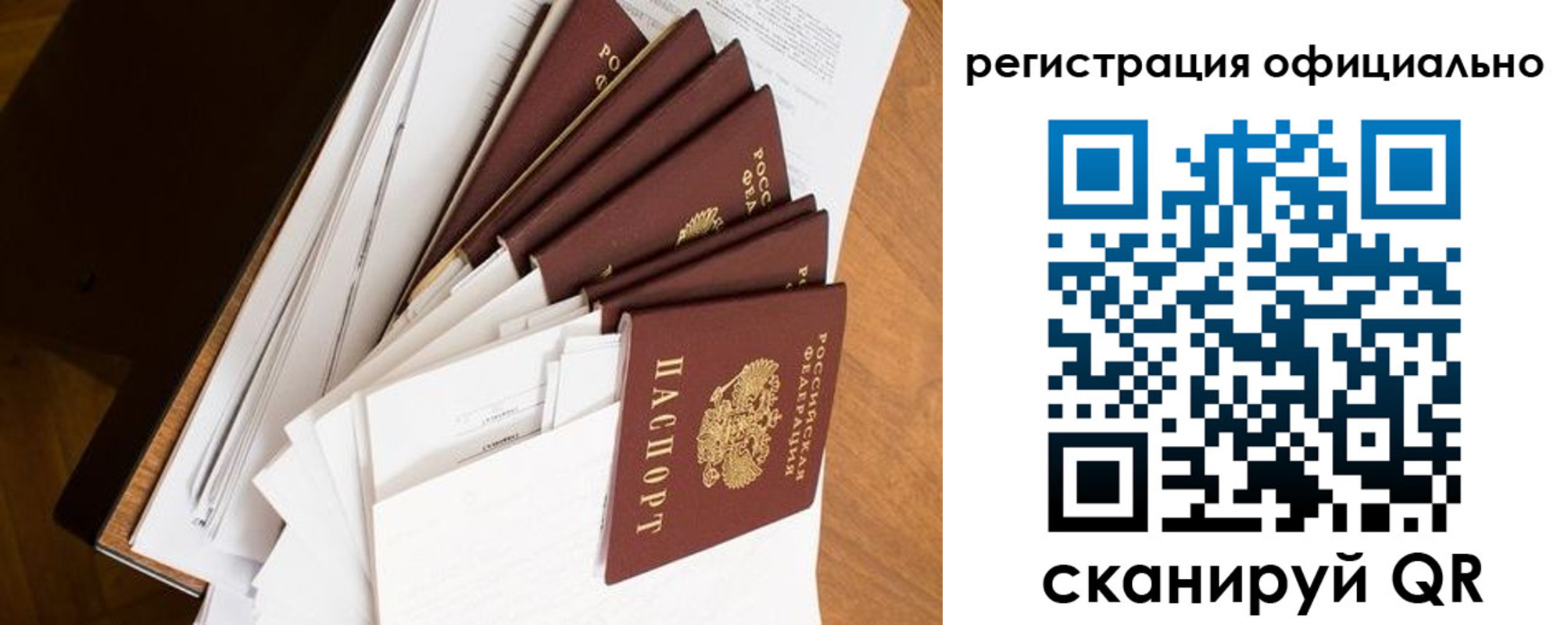 прописка для школы в Коле