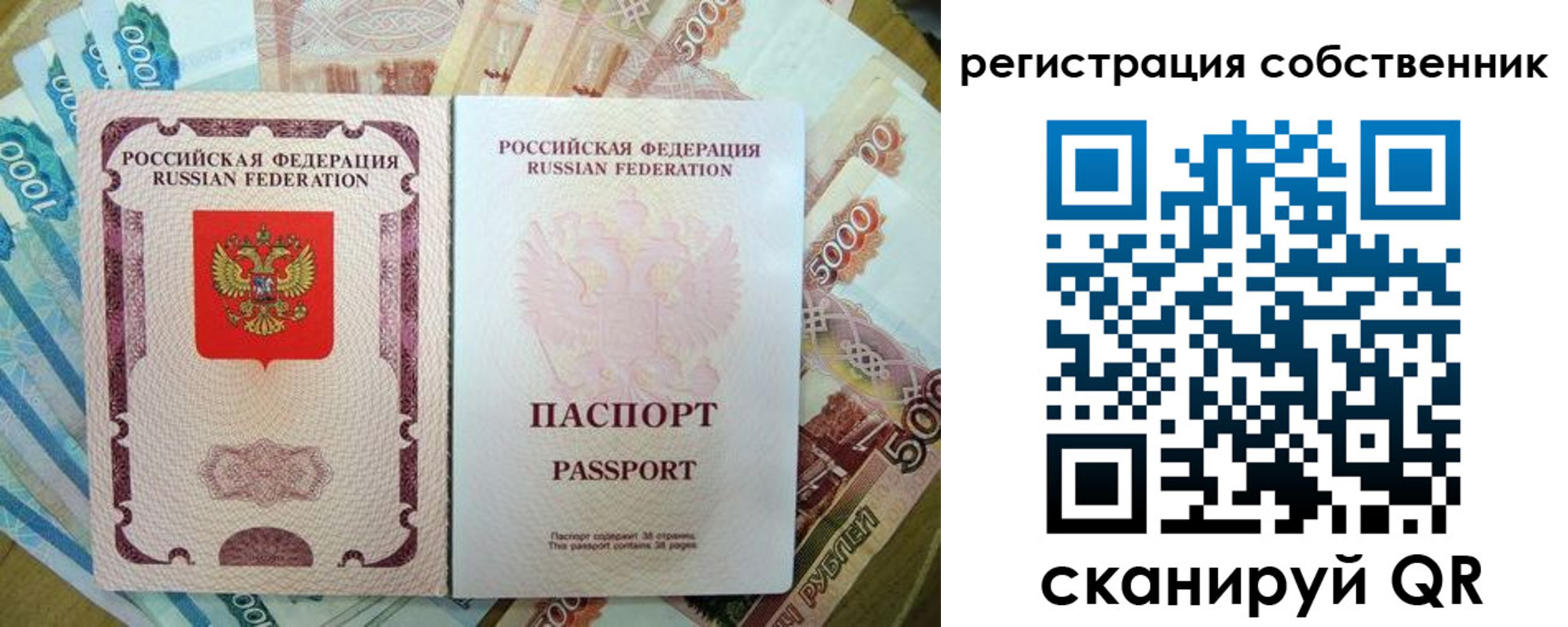 прописка гарантия в Коле